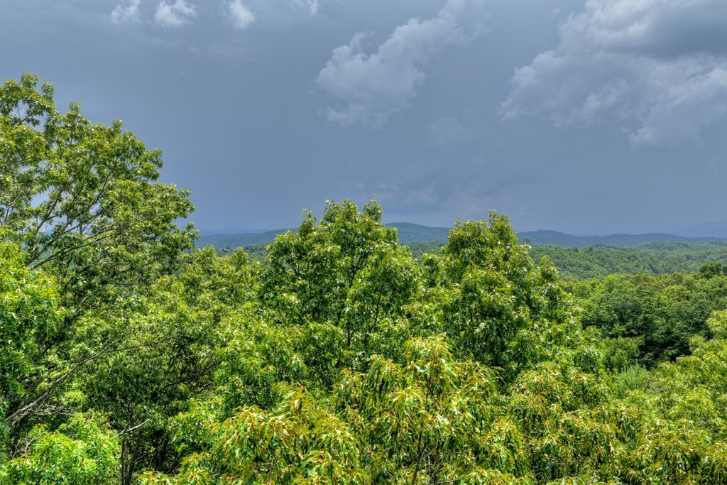 00 Scots Glen Road Property Photo 15