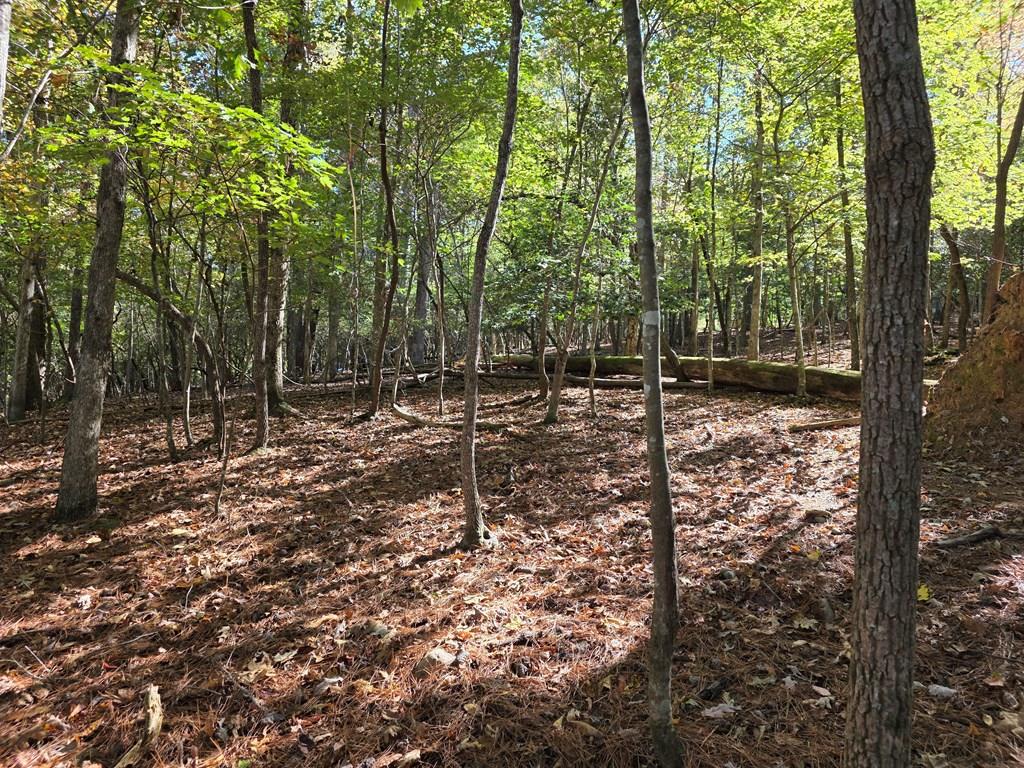 Lot #385 Zenith Trail Property Photo 1