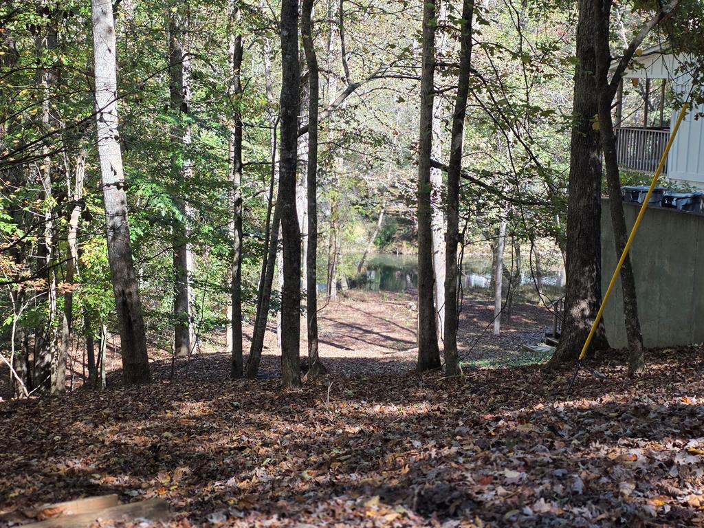 Lot #385 Zenith Trail Property Photo 2
