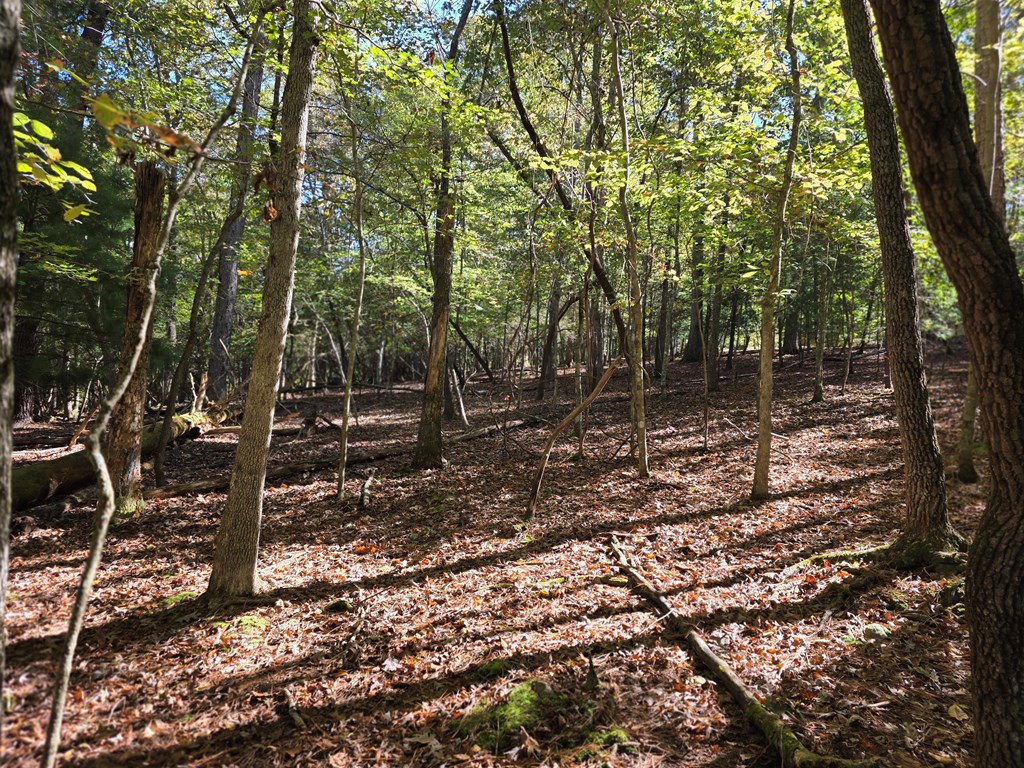 Lot #385 Zenith Trail Property Photo 3