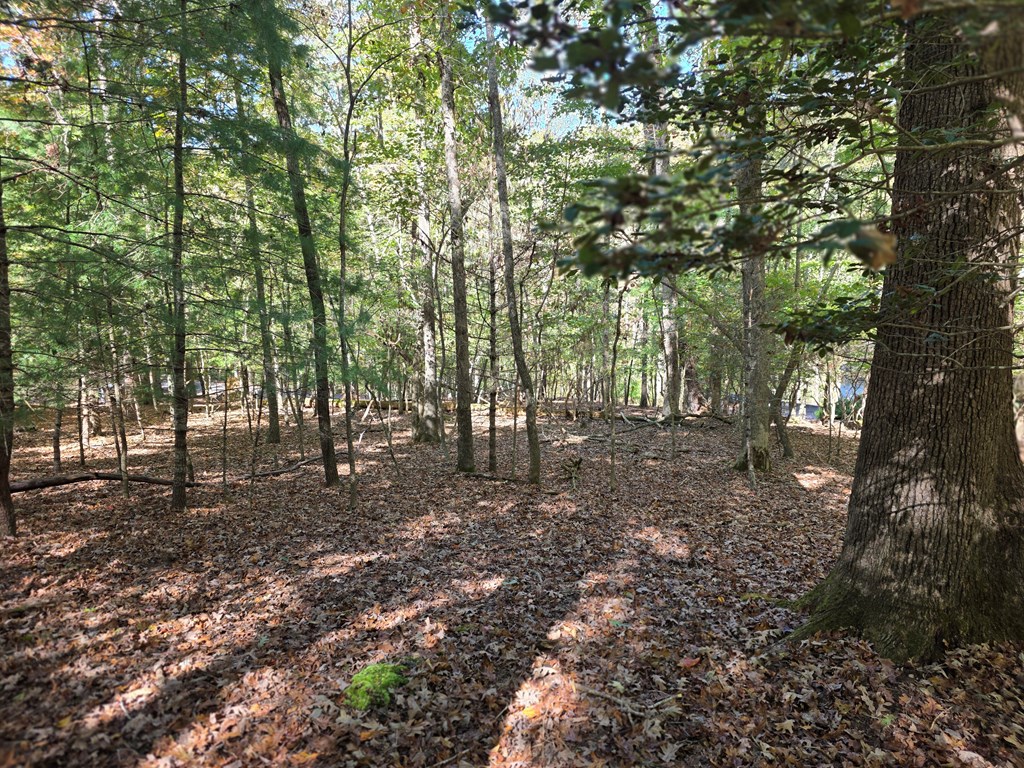 Lot #385 Zenith Trail Property Photo 4