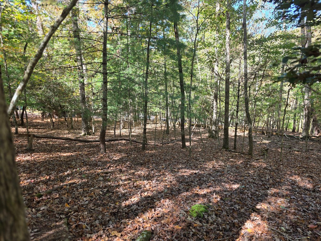 Lot #385 Zenith Trail Property Photo 5