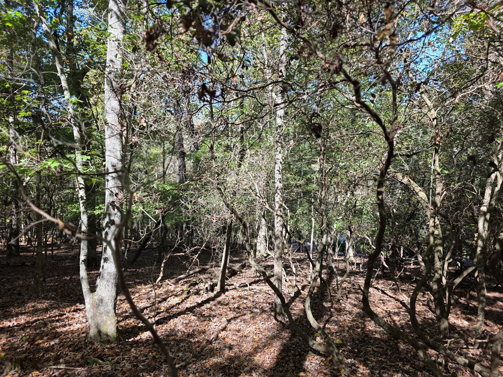 Lot #385 Zenith Trail Property Photo 6