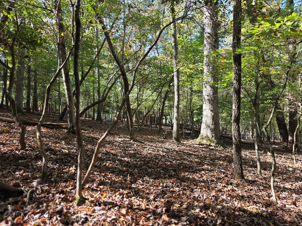 Lot #385 Zenith Trail Property Photo 8