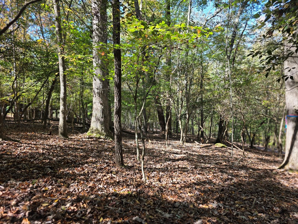 Lot #385 Zenith Trail Property Photo 9