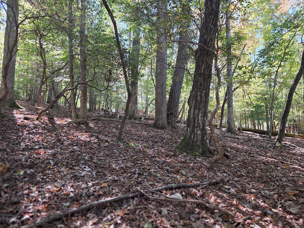 Lot #385 Zenith Trail Property Photo 10