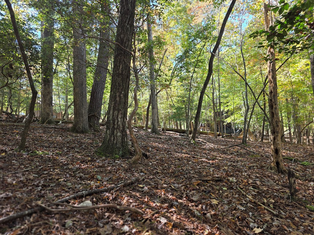 Lot #385 Zenith Trail Property Photo 11