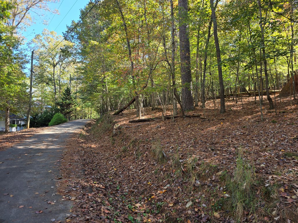 Lot #385 Zenith Trail Property Photo 12