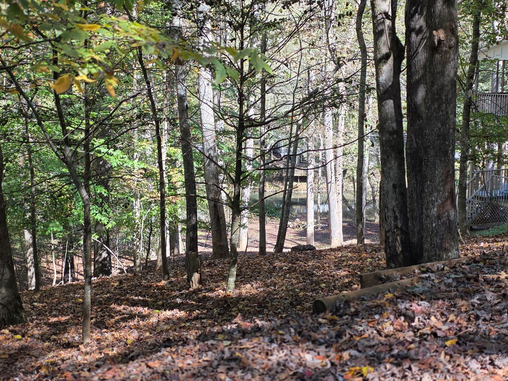 Lot #385 Zenith Trail Property Photo 13