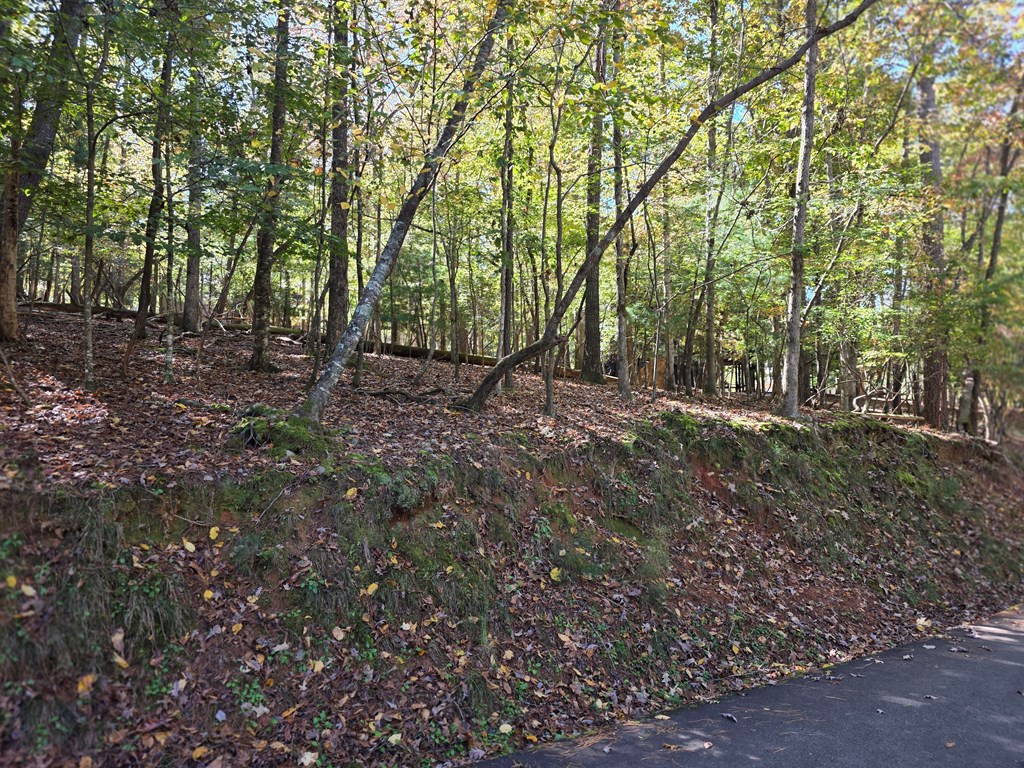 Lot #385 Zenith Trail Property Photo 14