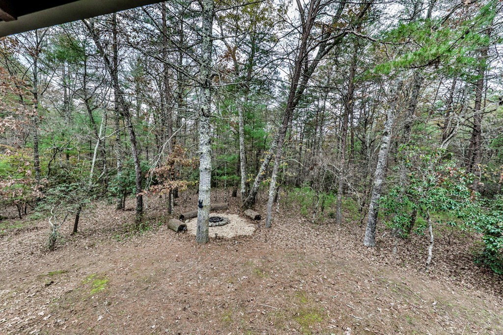 245 Weeks Creek Property Photo 21