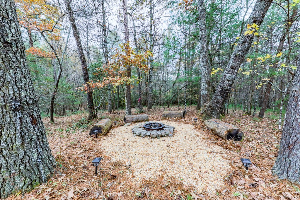 245 Weeks Creek Property Photo 24