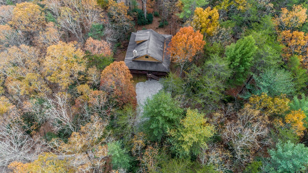 245 Weeks Creek Property Photo 32