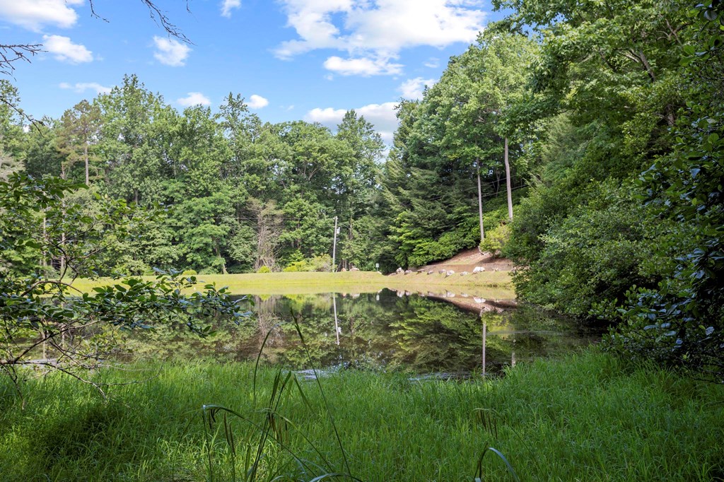 23 Briar Cove Lane Property Photo 35