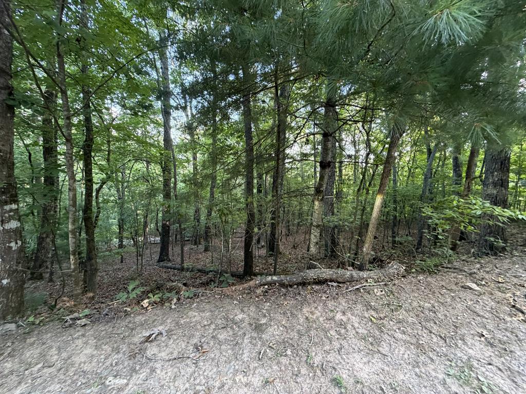 Lot 46 Fox Run Drive Property Photo 1