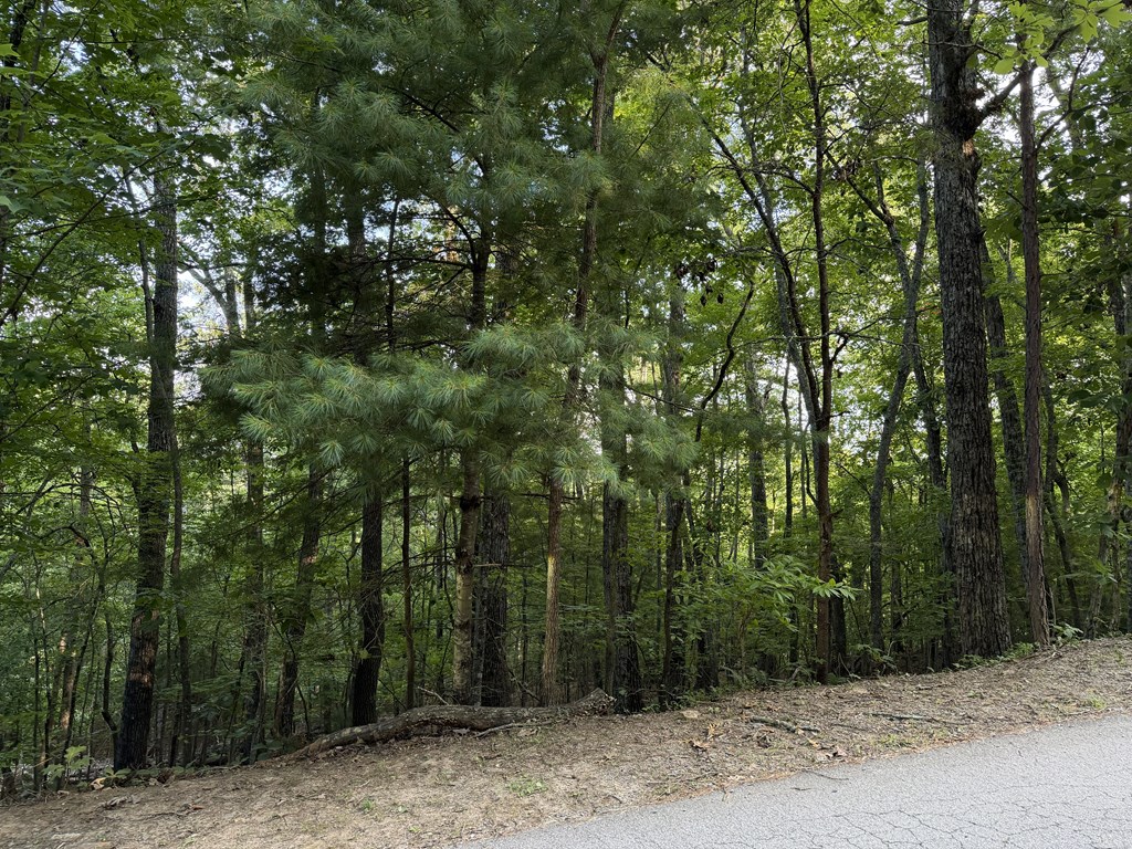 Lot 46 Fox Run Drive Property Photo 2