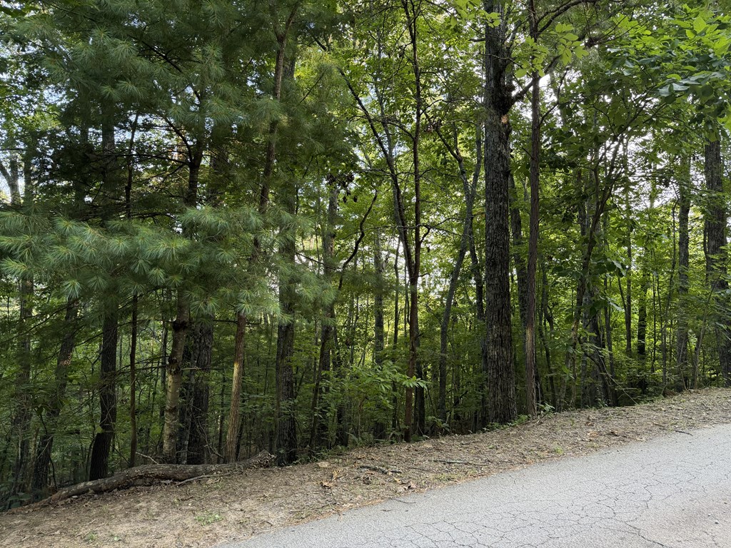 Lot 46 Fox Run Drive Property Photo 3