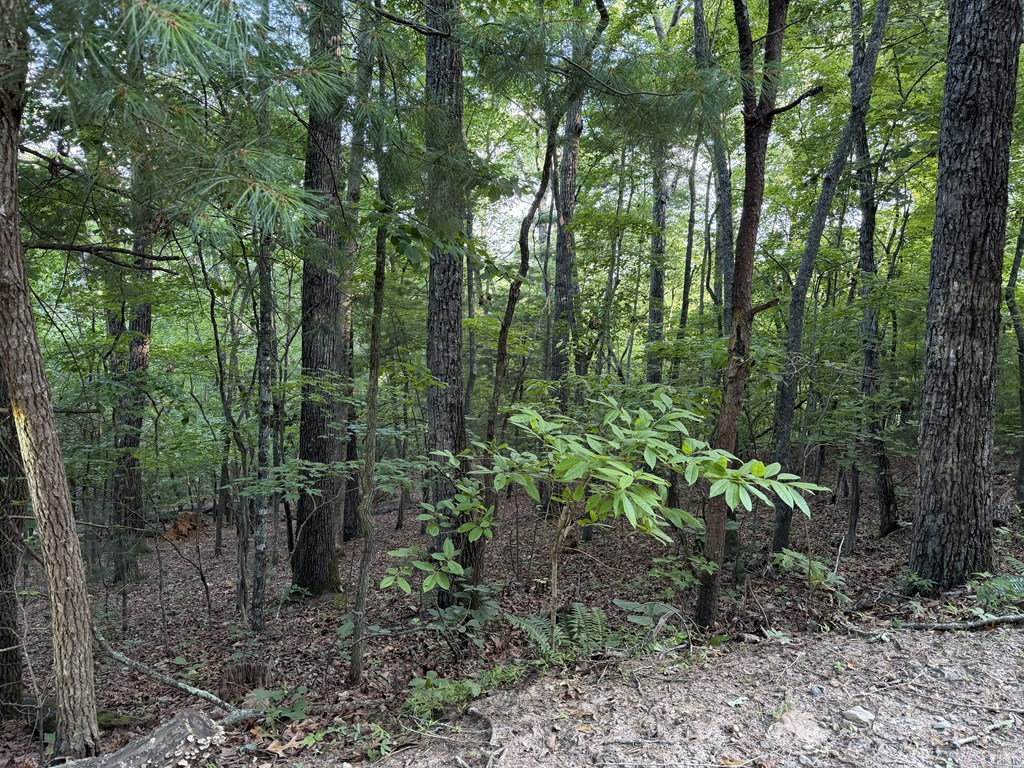 Lot 46 Fox Run Drive Property Photo 4