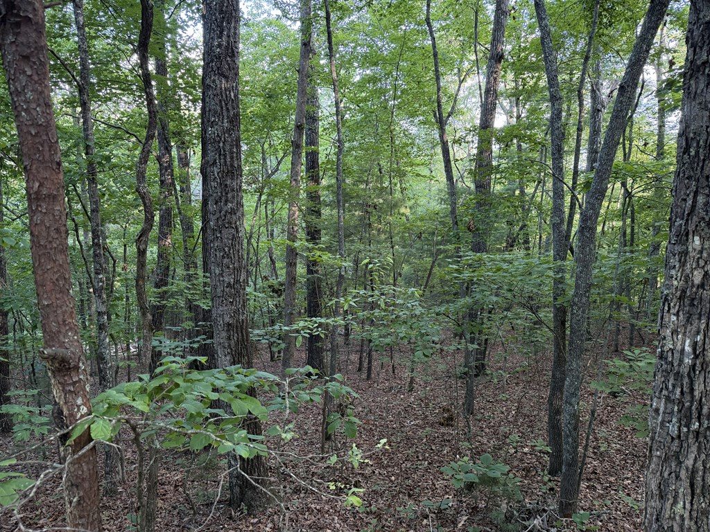 Lot 46 Fox Run Drive Property Photo 5