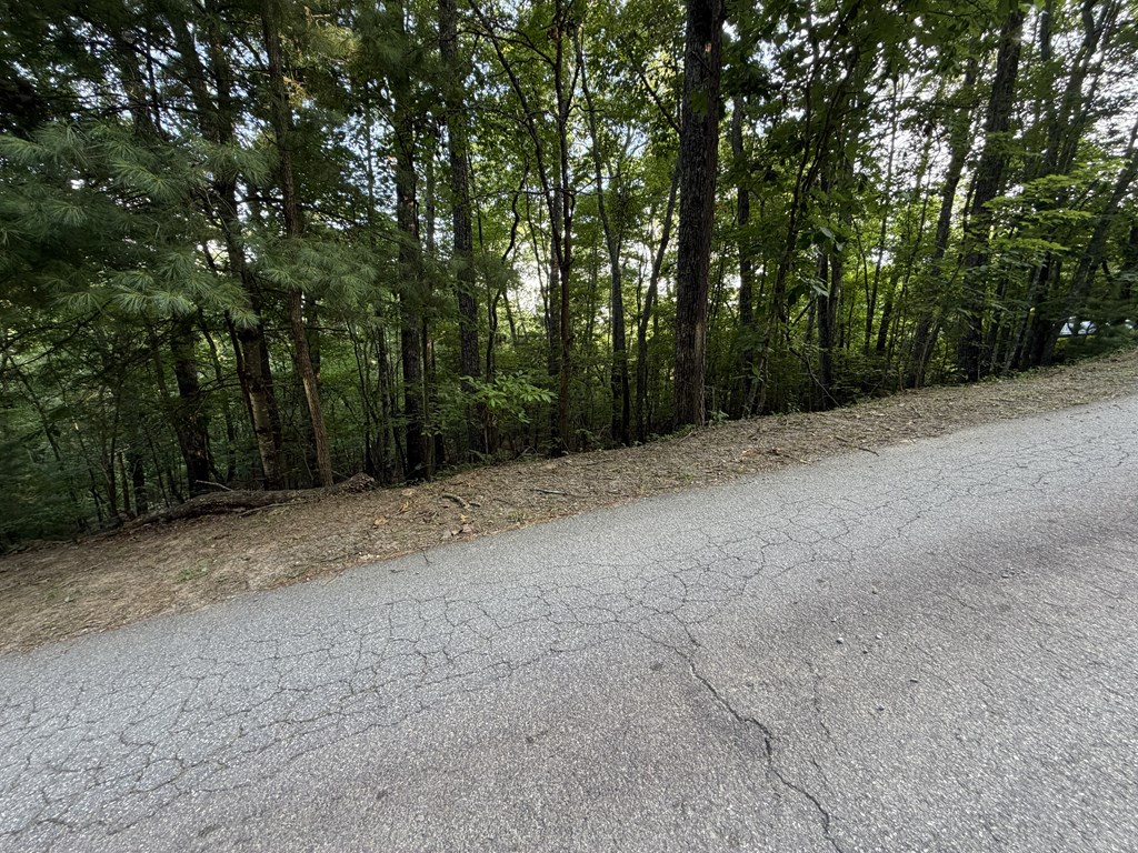 Lot 46 Fox Run Drive Property Photo 6