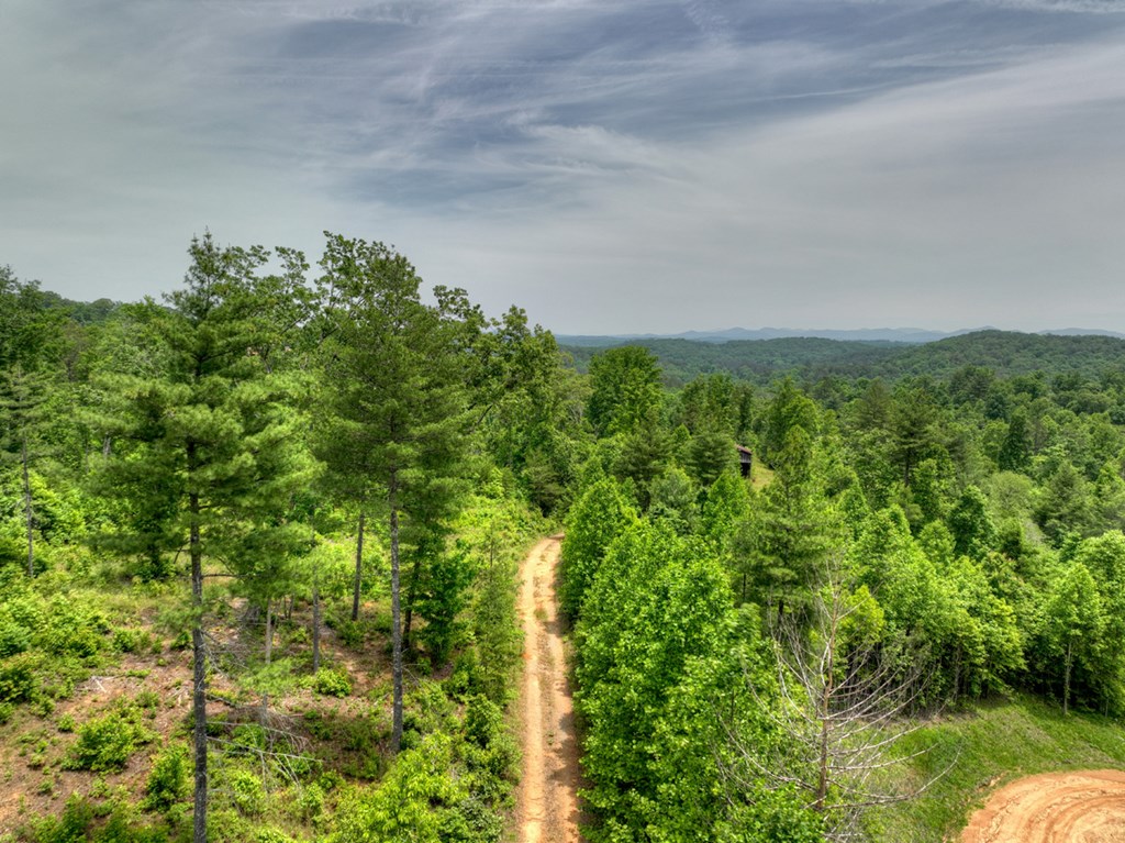 7.5 Ac Hidden Acres Property Photo 2