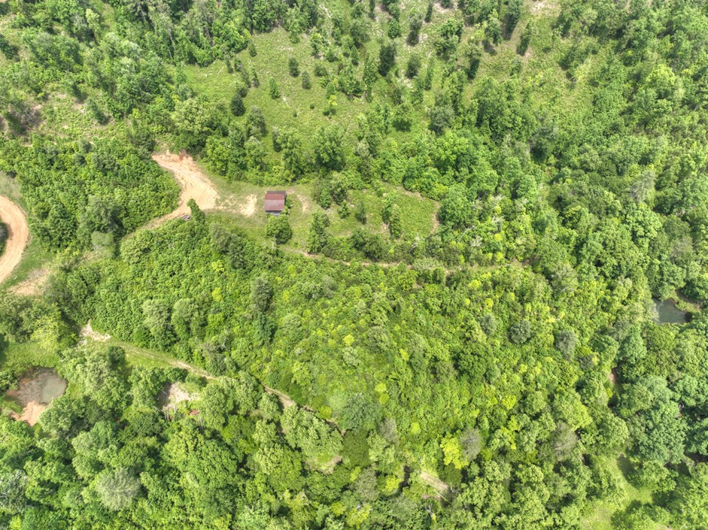 7.5 Ac Hidden Acres Property Photo 5