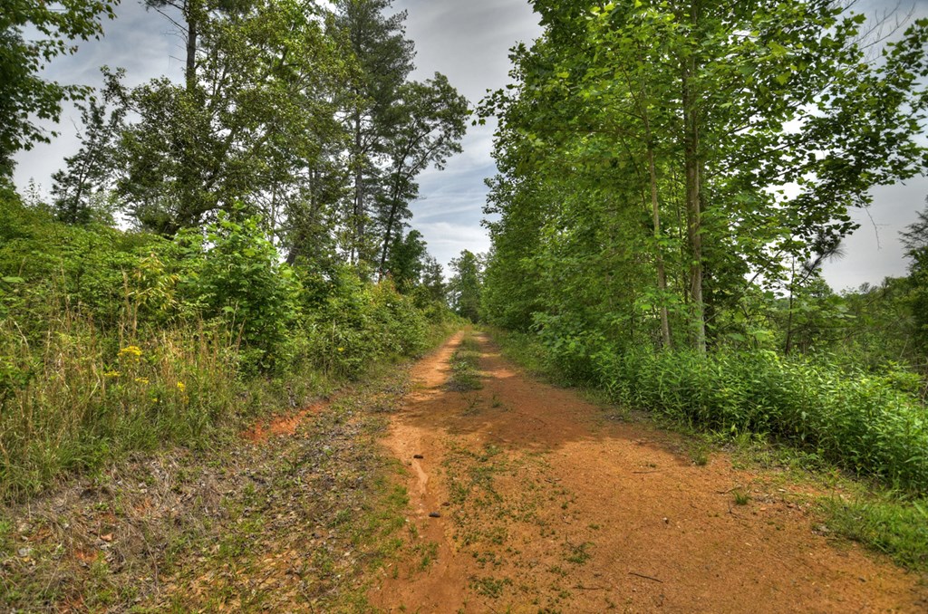 7.5 Ac Hidden Acres Property Photo 6