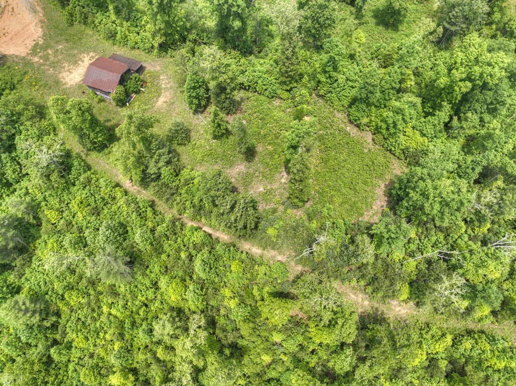 7.5 Ac Hidden Acres Property Photo 7