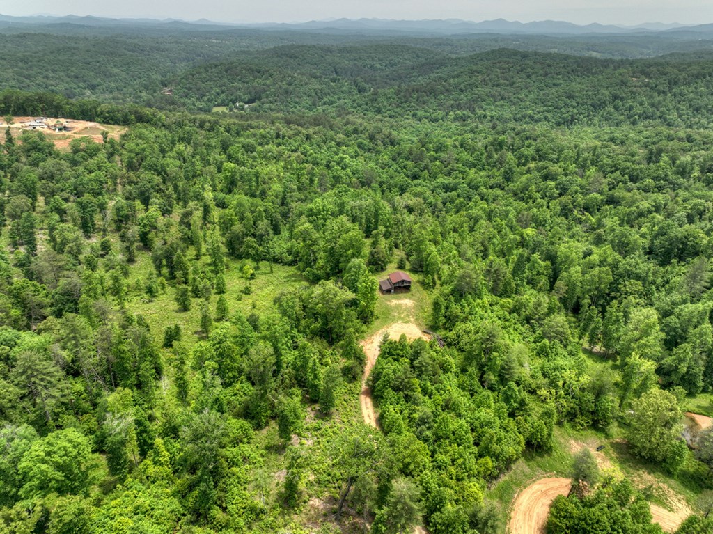 7.5 Ac Hidden Acres Property Photo 8