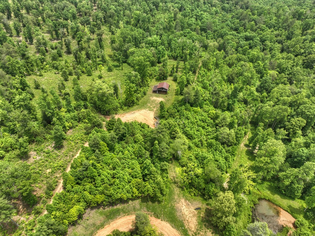 7.5 Ac Hidden Acres Property Photo 9