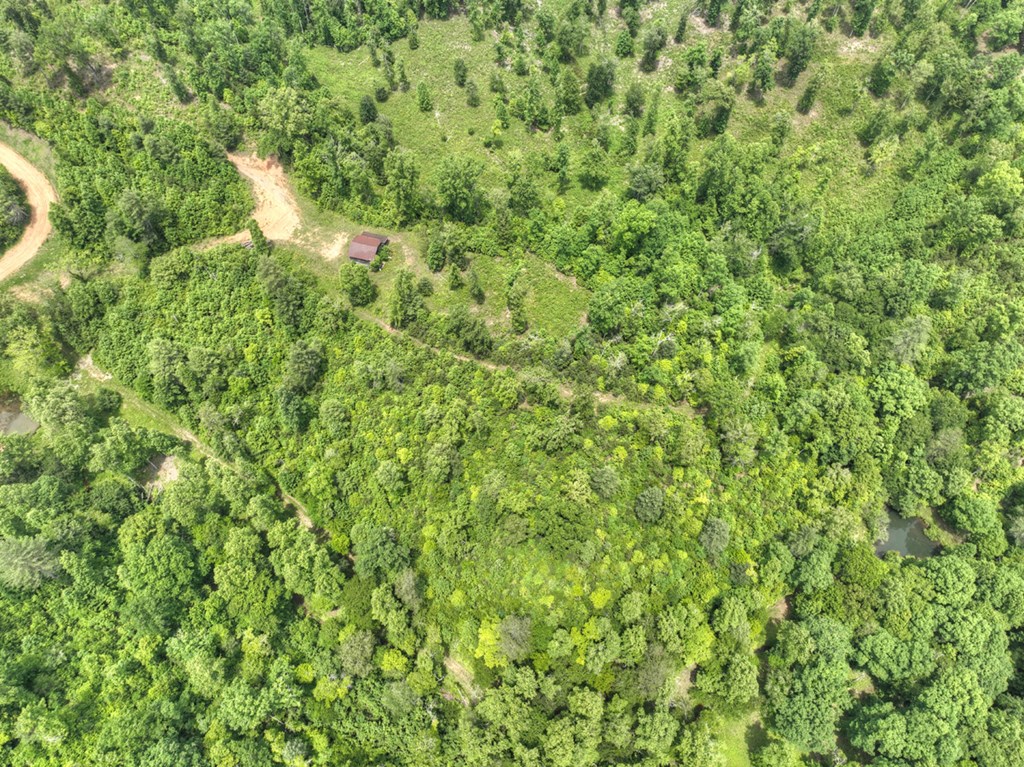 7.5 Ac Hidden Acres Property Photo 11