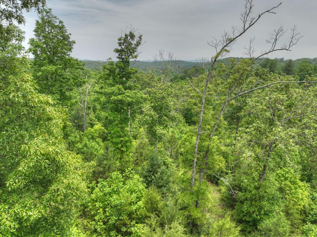 7.5 Ac Hidden Acres Property Photo 13