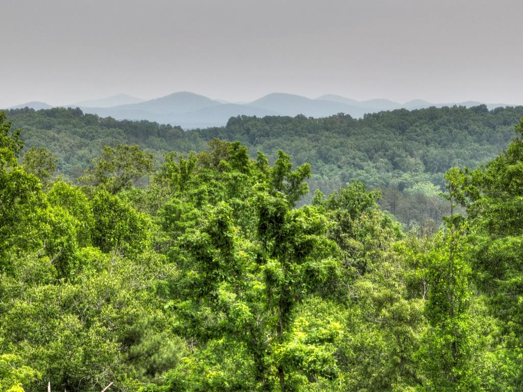 3.20 Ac Hidden Acres Property Photo 1