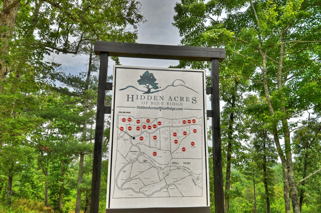 3.20 Ac Hidden Acres Property Photo 2