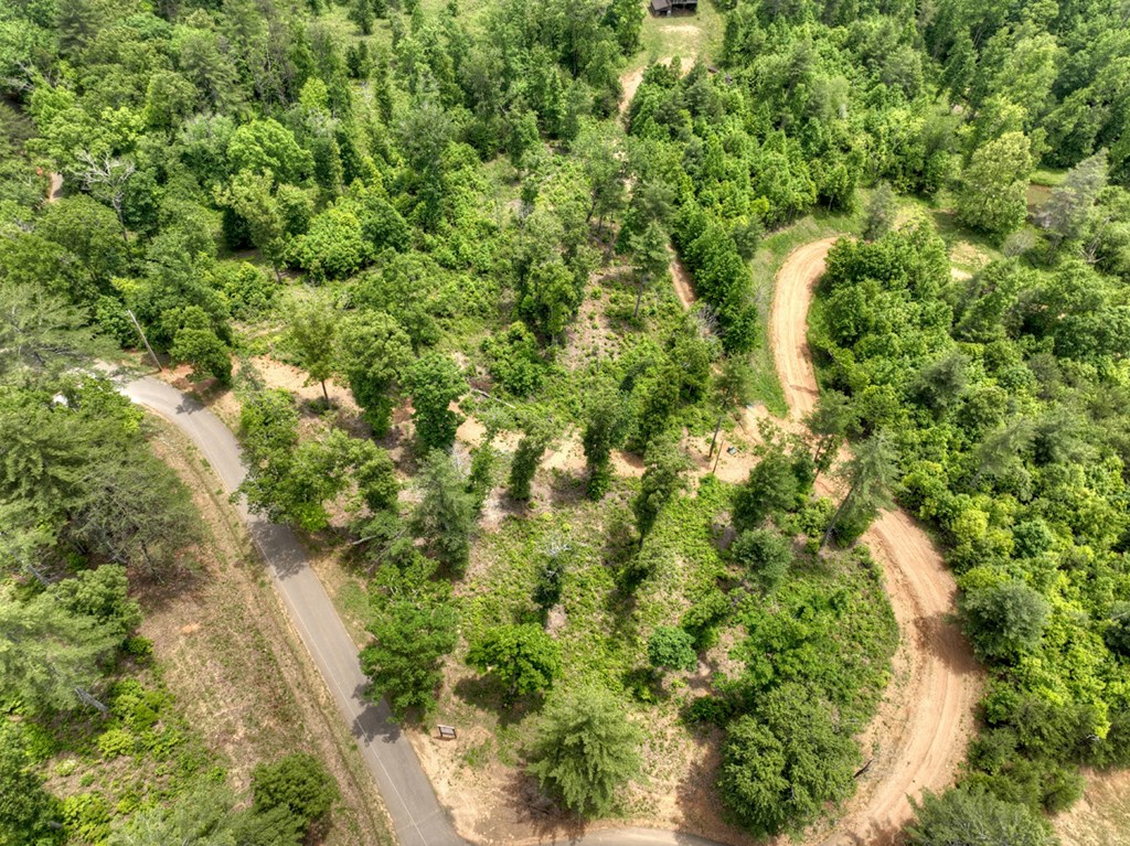 3.20 Ac Hidden Acres Property Photo 3