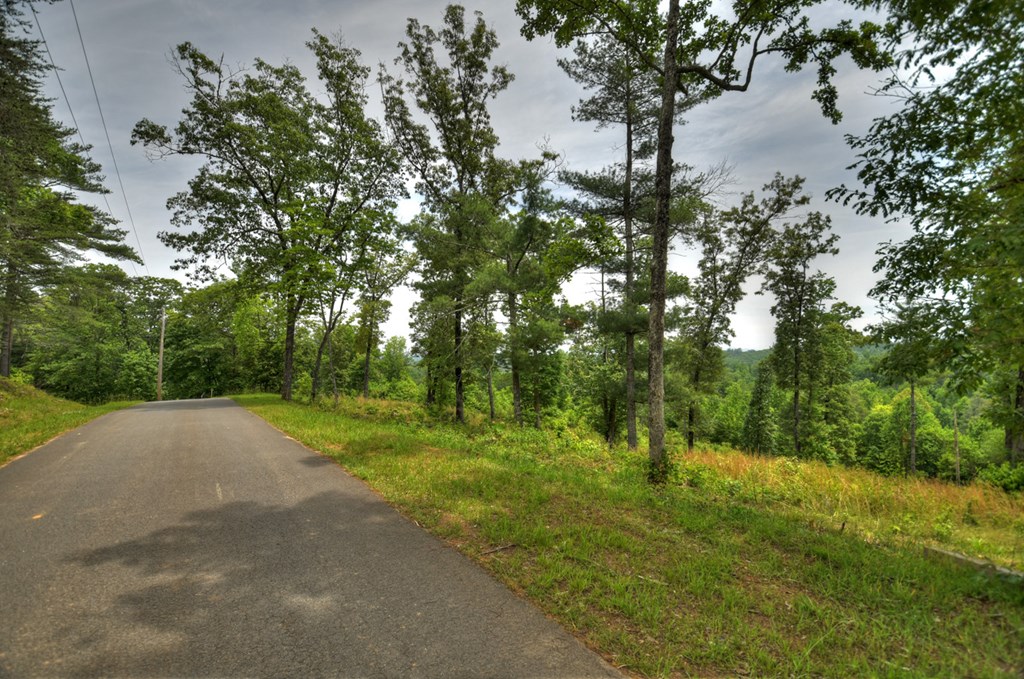 3.20 Ac Hidden Acres Property Photo 4