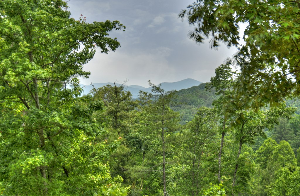 3.20 Ac Hidden Acres Property Photo 5