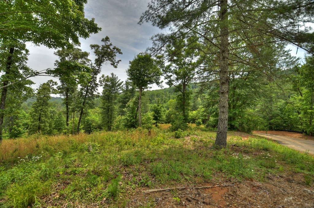 3.20 Ac Hidden Acres Property Photo 6