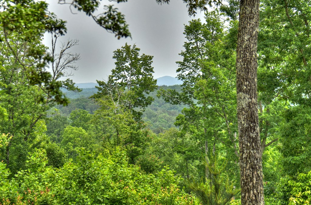 3.20 Ac Hidden Acres Property Photo 7