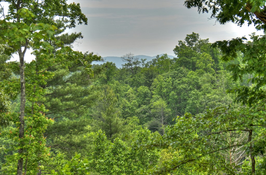 3.20 Ac Hidden Acres Property Photo 9