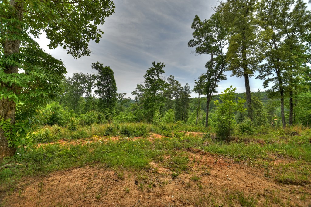 3.20 Ac Hidden Acres Property Photo 10