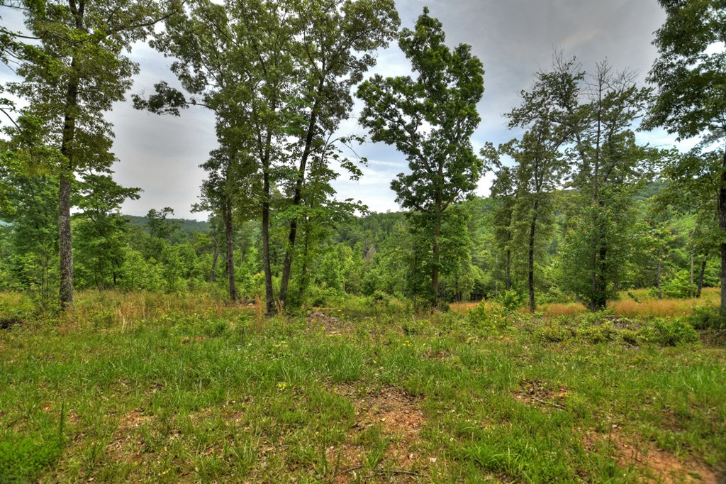 3.20 Ac Hidden Acres Property Photo 11