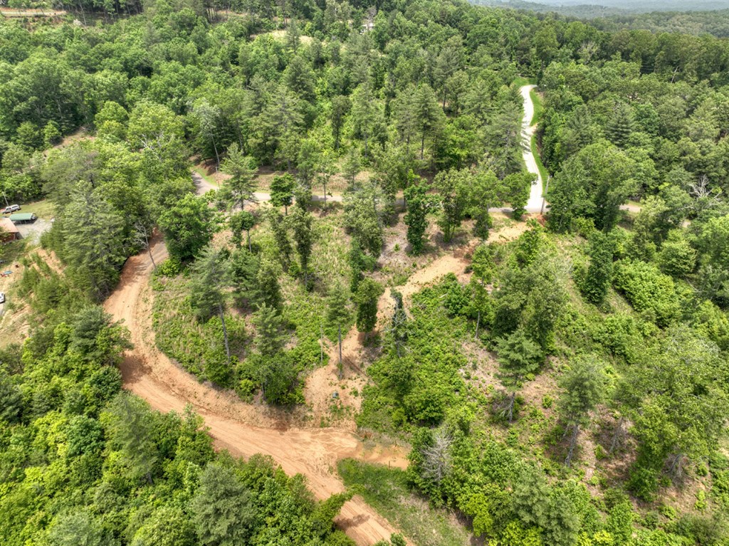 3.20 Ac Hidden Acres Property Photo 12
