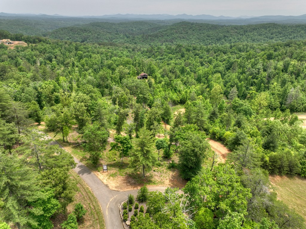 3.20 Ac Hidden Acres Property Photo 13