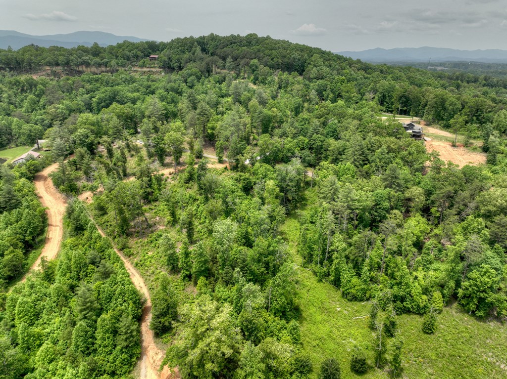 3.20 Ac Hidden Acres Property Photo 14