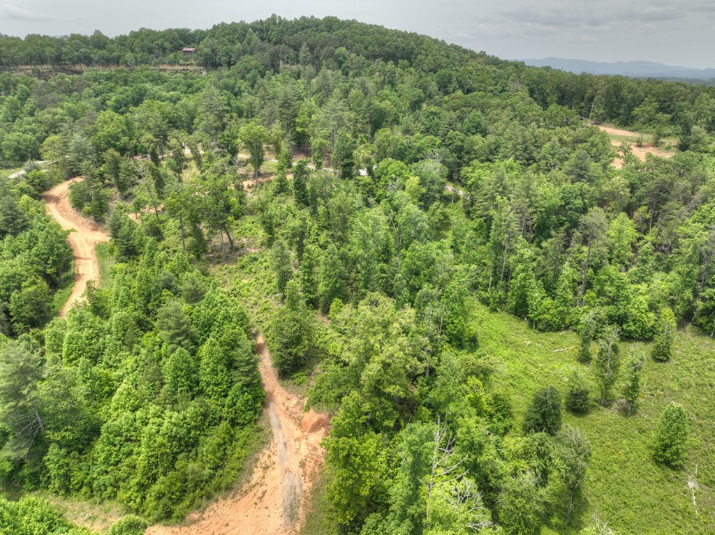 3.20 Ac Hidden Acres Property Photo 15