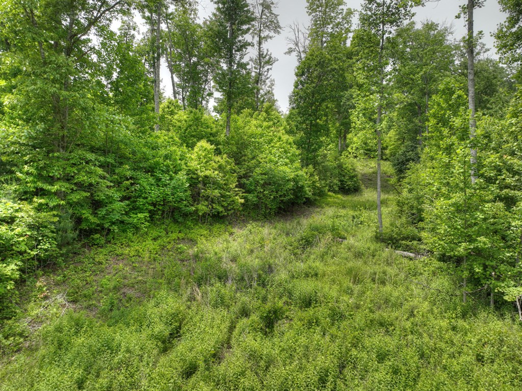 3.20 Ac Hidden Acres Property Photo 16