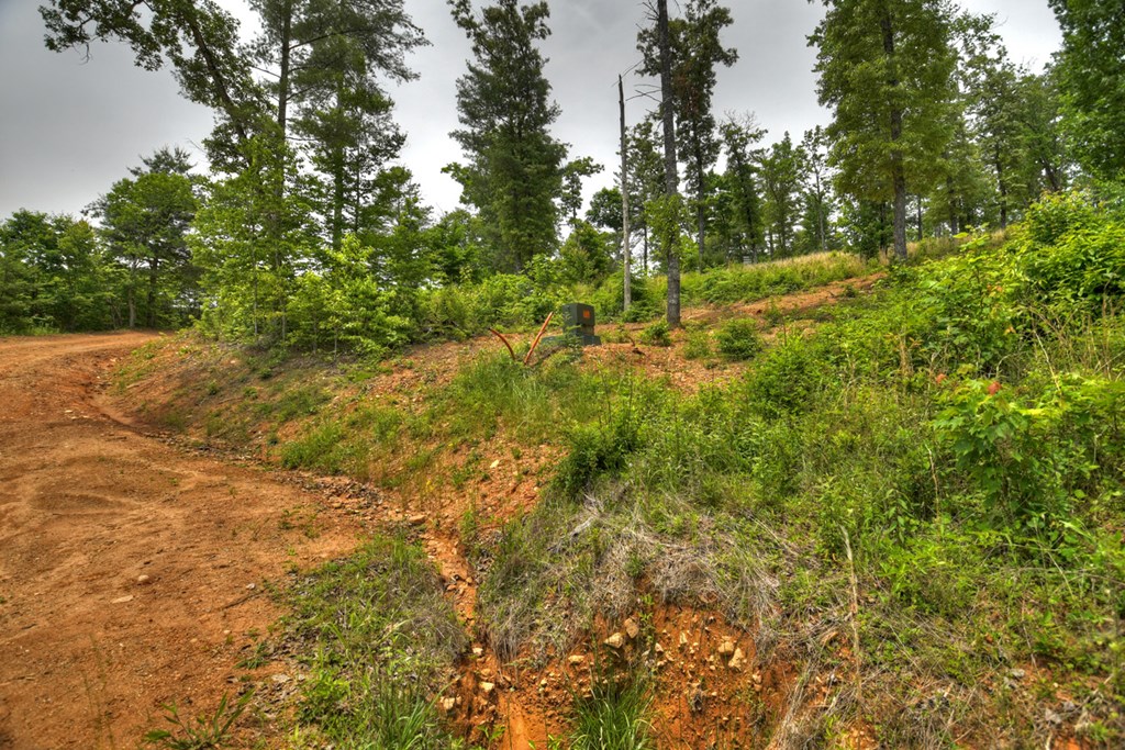 3.20 Ac Hidden Acres Property Photo 18