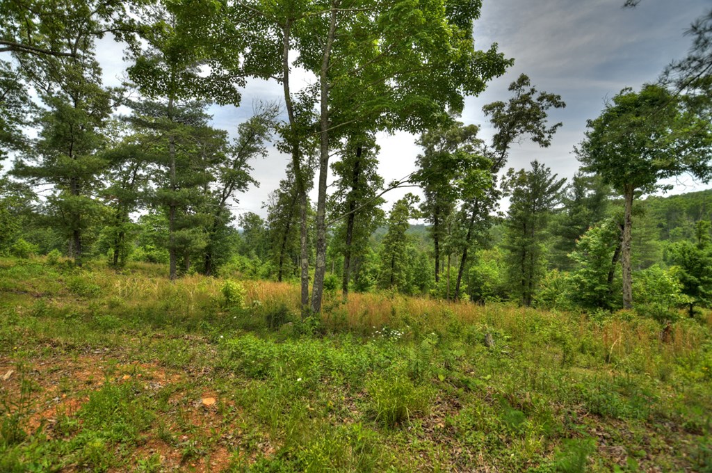 3.20 Ac Hidden Acres Property Photo 19