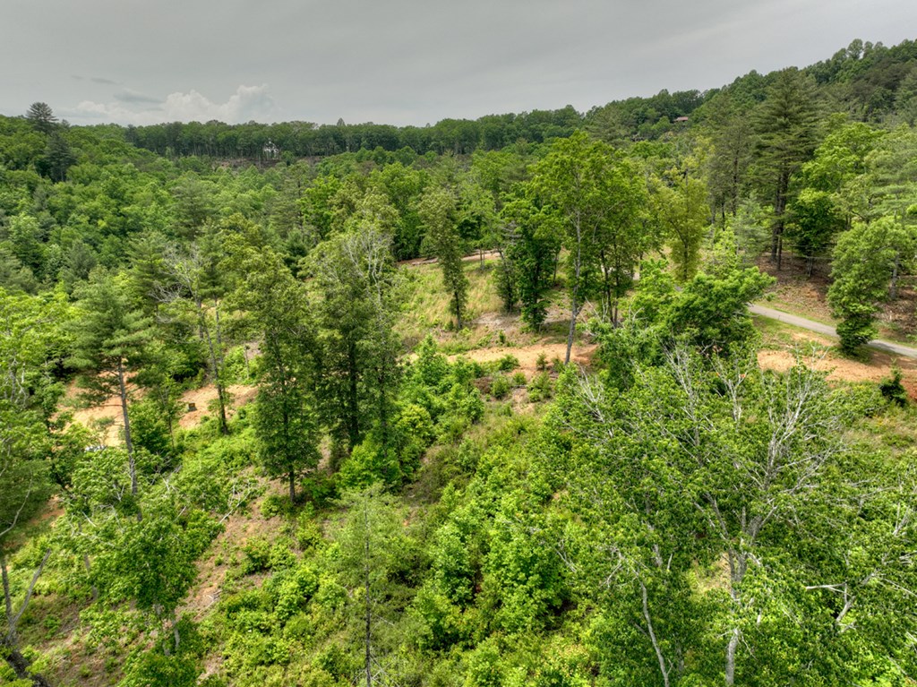 3.20 Ac Hidden Acres Property Photo 21